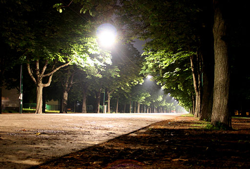 Hauptallee bei Nacht